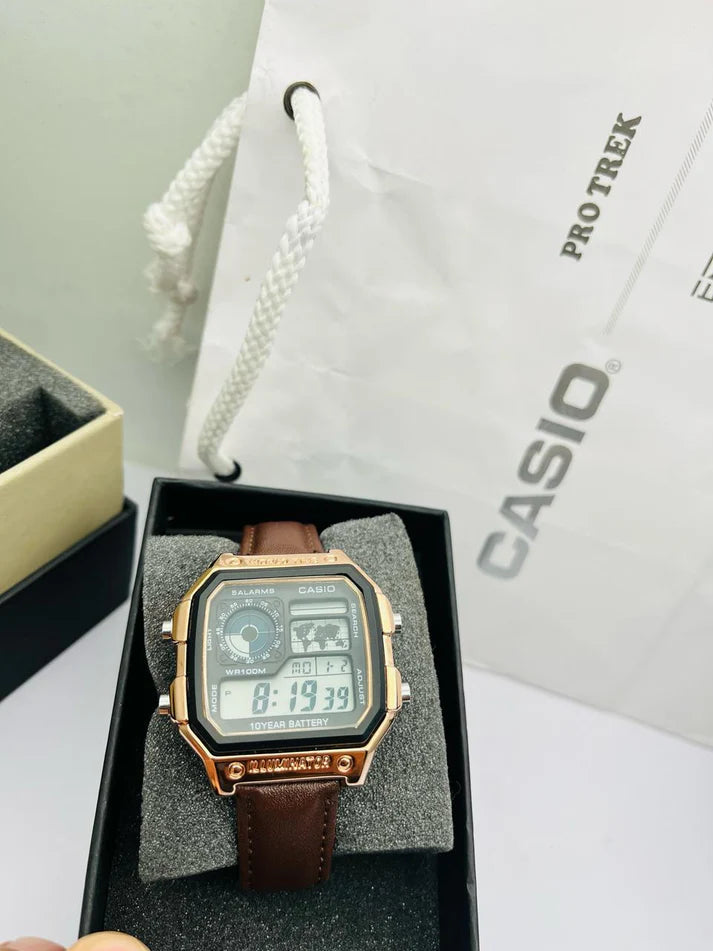 Casio Royale AE 1200